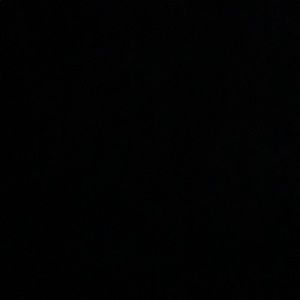 Meet your Posher, Lottie